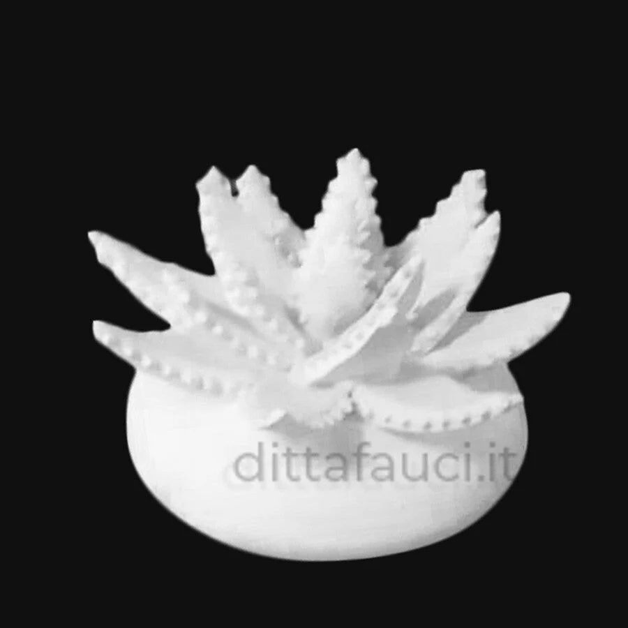 Aloe 3' Mis h 9 cm, diam. 13 cm | Piantine in ceramica - immagine 2